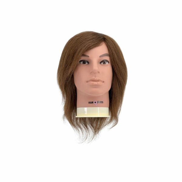 Testina Daniel, castano medio